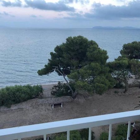 Les Pieds Dans L Eau, Vue Sur Les Iles D'Or Apartment Hyeres Ngoại thất bức ảnh